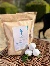 Load image into Gallery viewer, See Change Now No Rinse Bucket Bomb